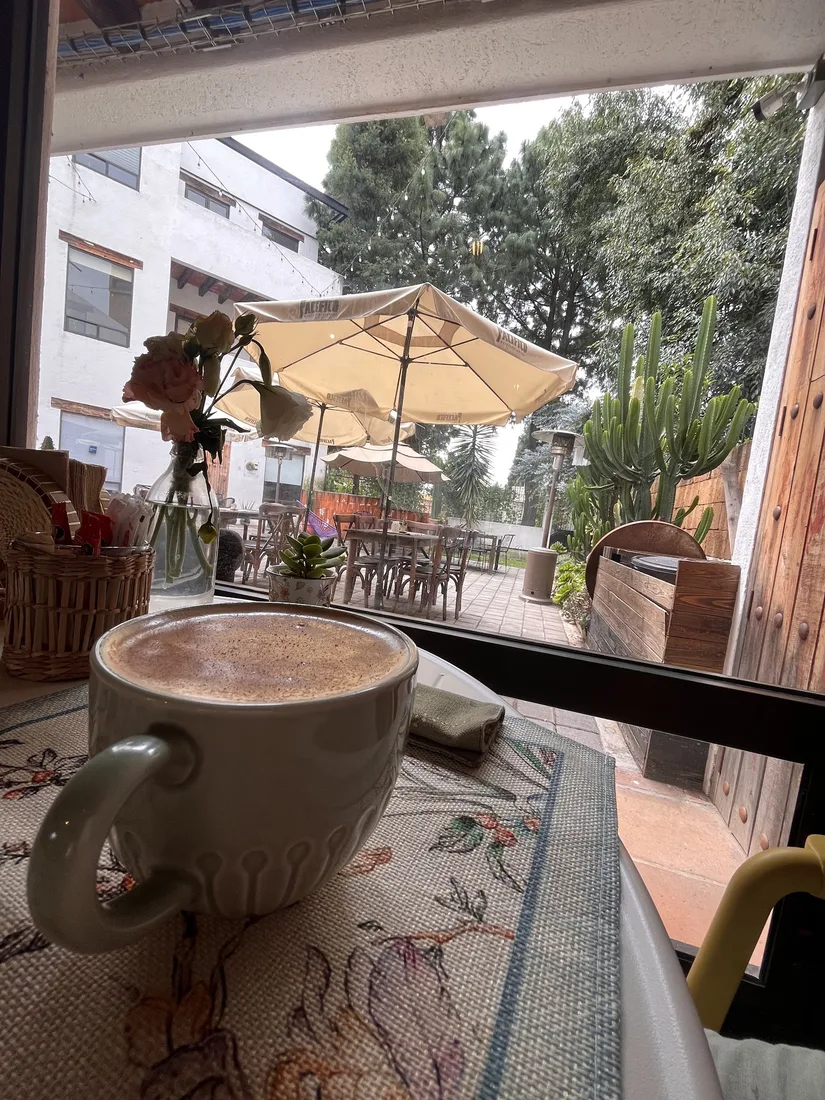 Vista al jardín desde la ventana